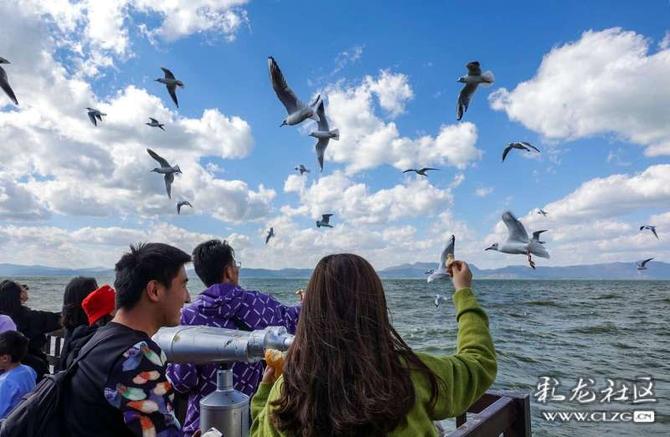 16405302486034548280765223953_5504 16405302486034548280765223953_5504