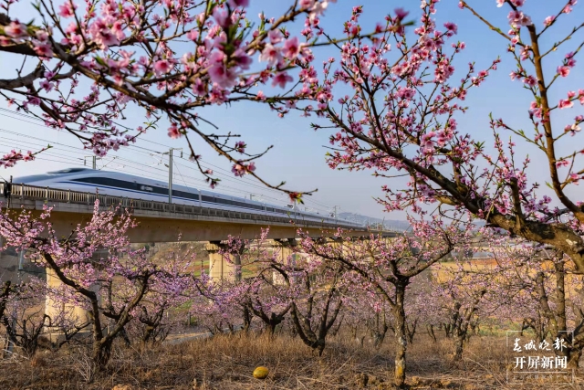 微信图片_20211229162117