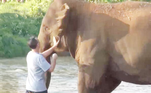 2022010509285471414 2022010509285471414