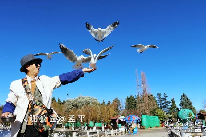 16416016736914738054944410087_5304