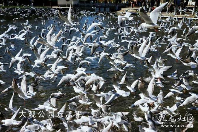 16416016738557714528537046207_5304