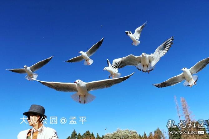 16416016734932225067367718956_5304