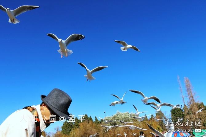 16416016739094748695482376001_5304