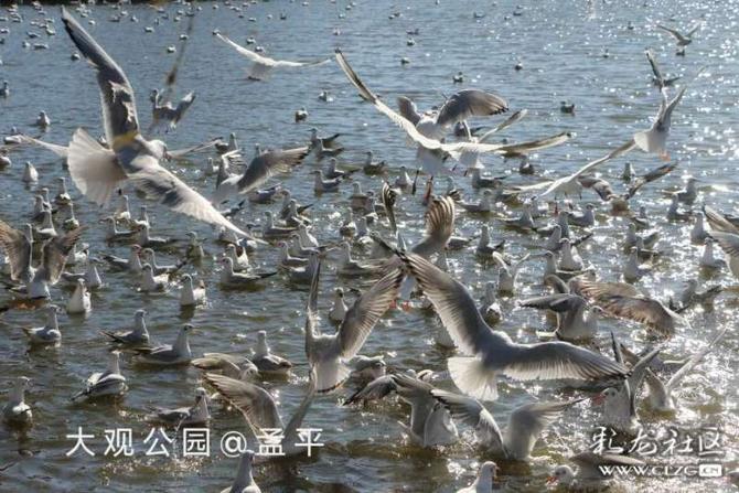 16416016738392108110061642456_5304