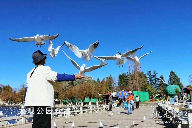 16416016736712933733944873347_5304