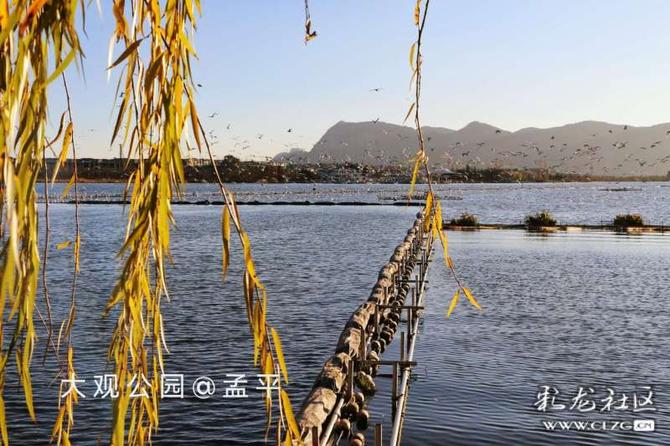 16416016736223000336555060615_5304