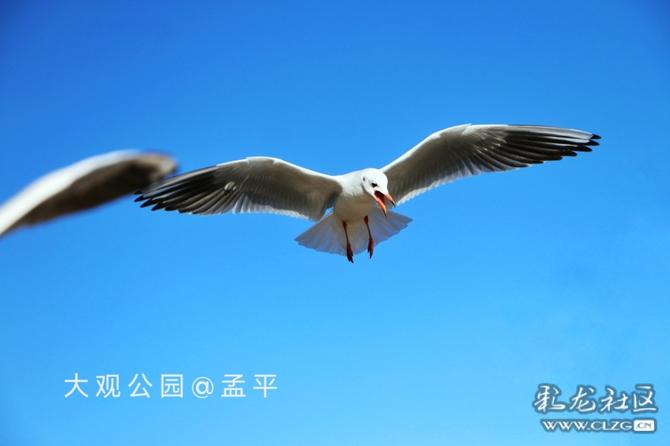 16416016737457124156560179205_5304