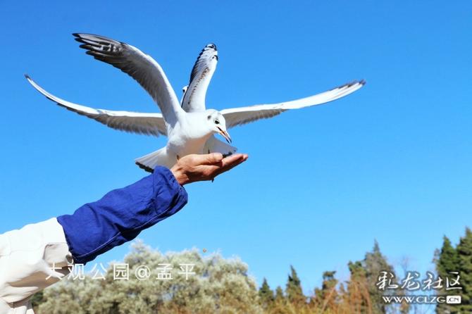 16416016734897770160107572351_5304