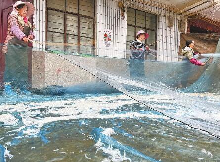 00304402964_c7ff90ce