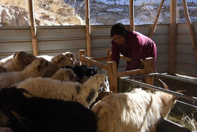 35bbbc14261044ac937169373829140c