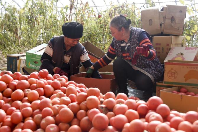 ed40e51eb141446c847375face843730