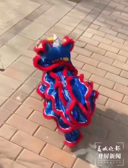 新年元素的宠物用品持续热销（马艺宁 实习生 梁燕灏宇 杨宇婷 摄）