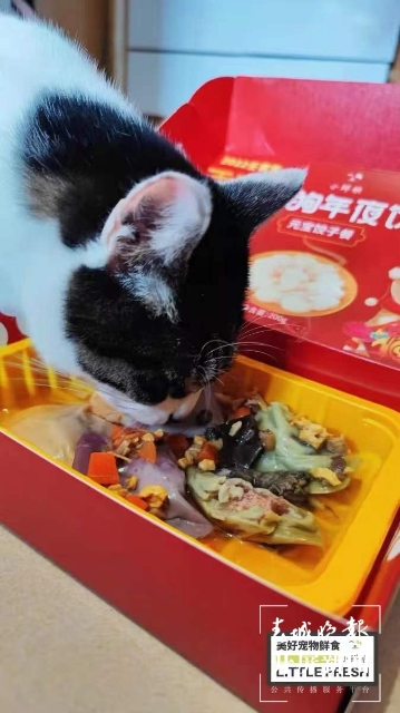 新年元素的宠物用品持续热销（马艺宁 实习生 梁燕灏宇 杨宇婷 摄）