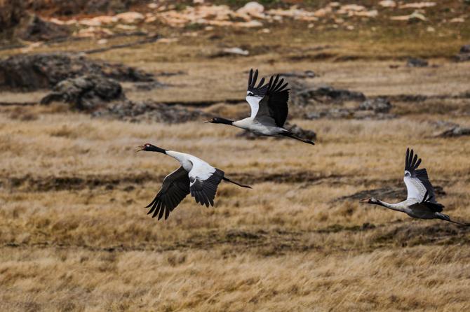 微信图片_20220114165036