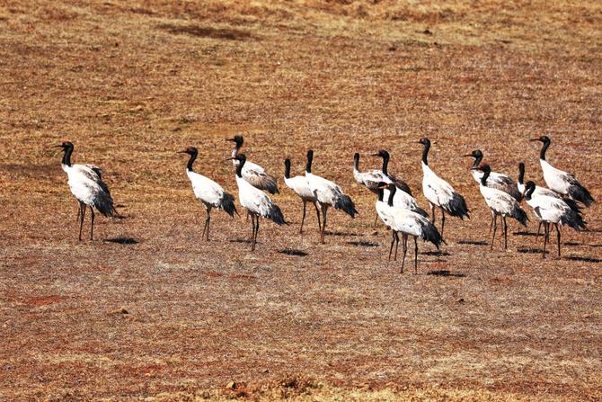 微信图片_20220114165058