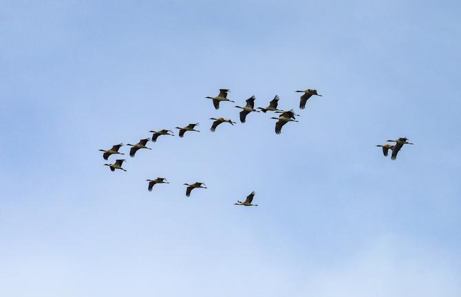 微信图片_20220114165122