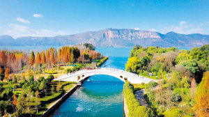 滇池星海半岛生态湿地风景更加美丽。 记者周密摄