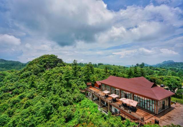 云南全面建成五级林长制(云南省林业和草原局供图)