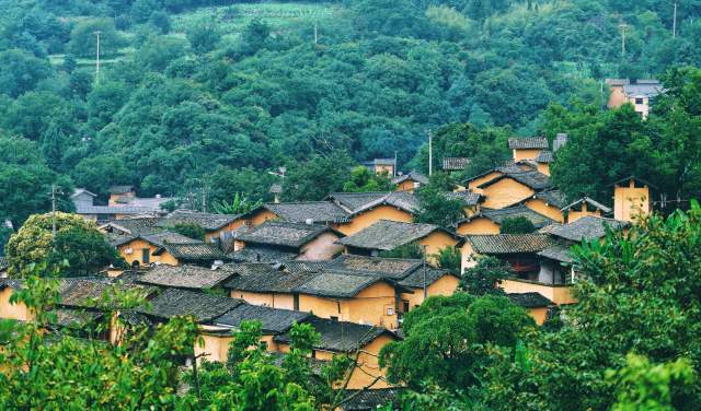 云南全面建成五级林长制(云南省林业和草原局供图)