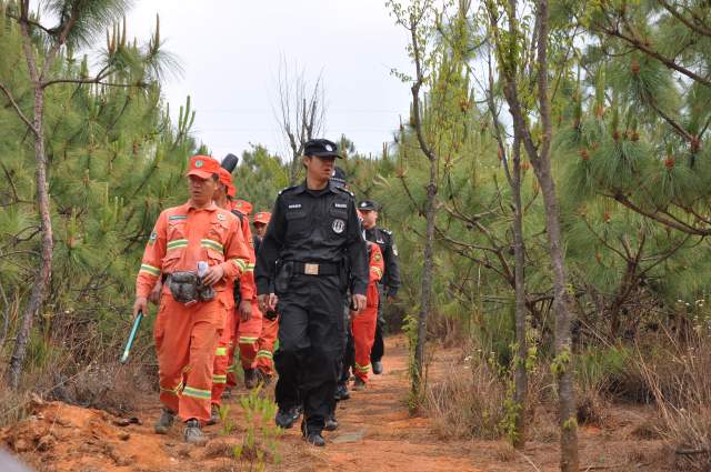 云南全面建成五级林长制(云南省林业和草原局供图)