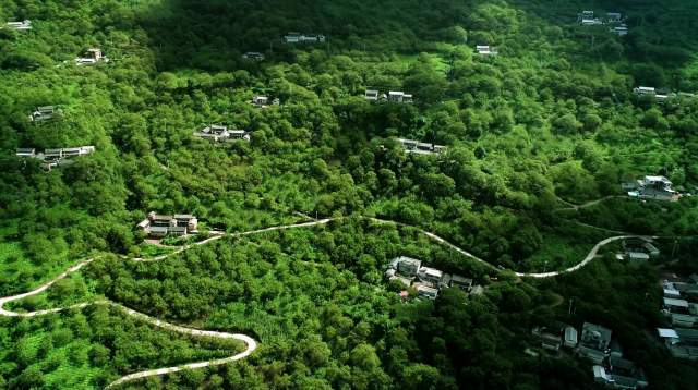 云南全面建成五级林长制(云南省林业和草原局供图)