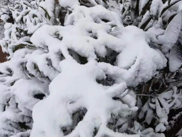 下雪