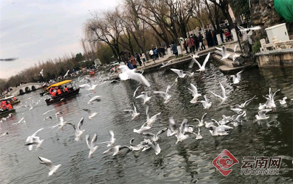 00304455965_3abf66ce