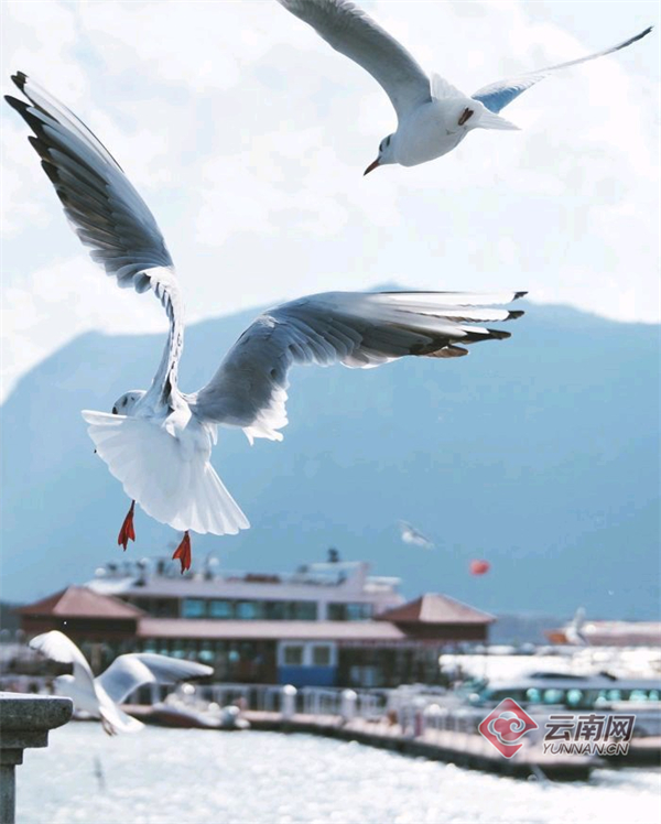 00304455964_2a4e9b37