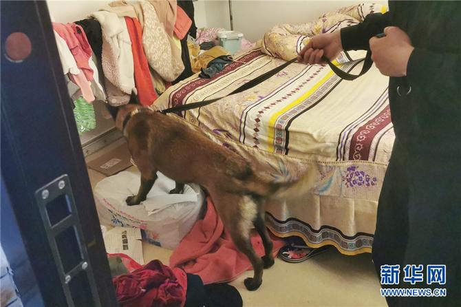 1310460457_16442829825491n 1310460457_16442829825491n