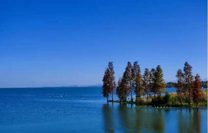 20220207052721791 20220207052721791