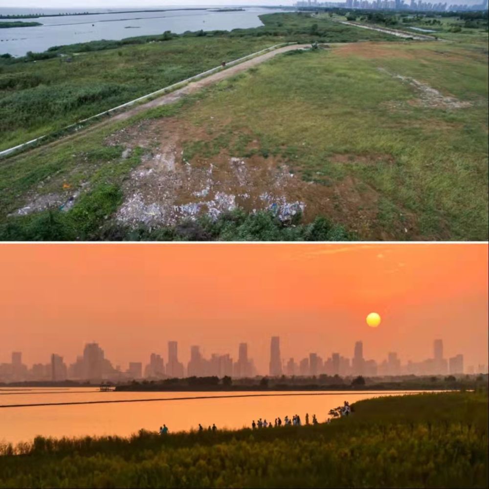 1128360741_16446389302821n 1128360741_16446389302821n