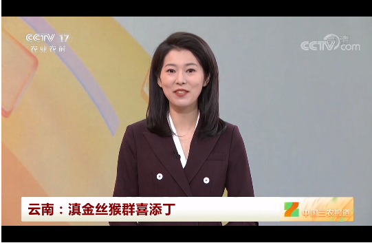 微信截图_20220215084109