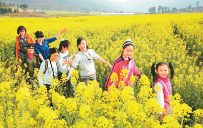 ff2e86ff30dc58e67d0e5ef78528f10c