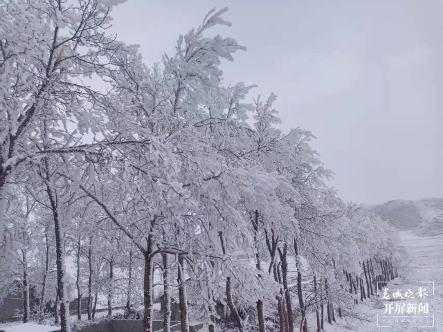 美出天际！昭通大山包保护区现雾凇景观，现场很震撼...