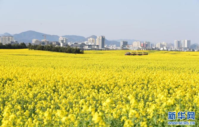 20220217496a07cf1aa84f81be8edd593bf1cf5b_MoJabKMUUgma6VyW74 20220217496a07cf1aa84f81be8edd593bf1cf5b_MoJabKMUUgma6VyW74