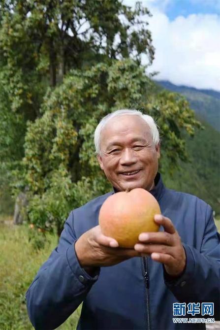 1310479286_16452592810601n