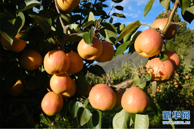 1310479286_16452592811231n