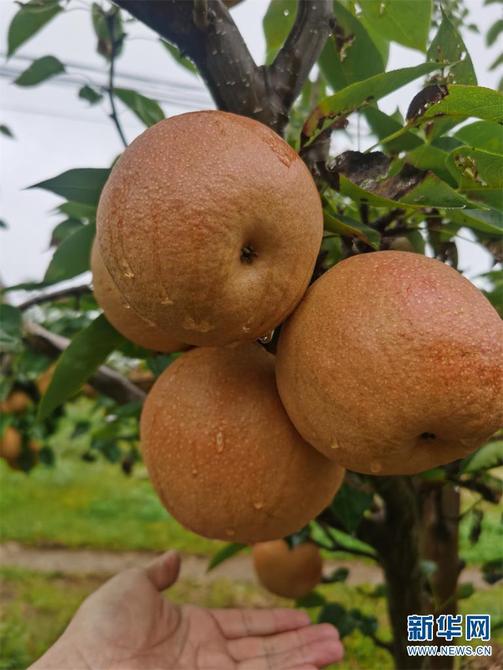 1310479286_16452592814881n