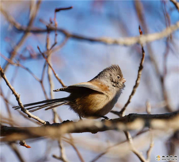 5906b28f-59e6-4259-b8ce-54a8159632d5_batchwm