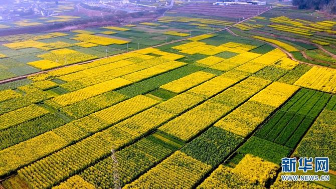 1310475124_16451880844751n