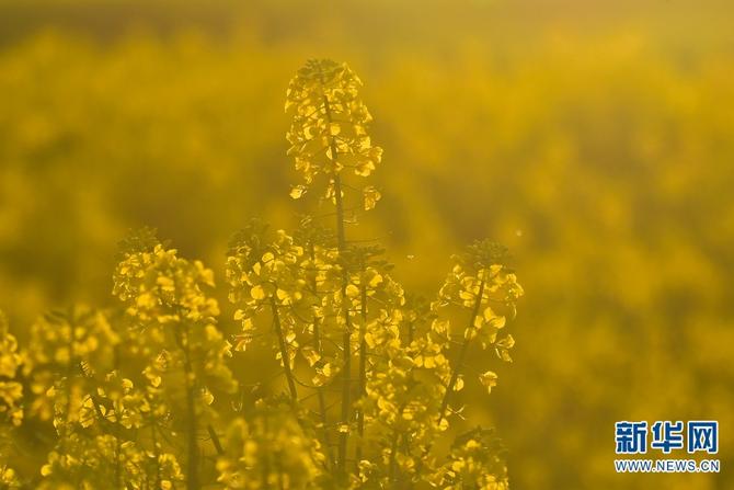 1310475124_16451880845361n