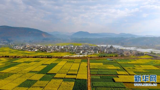 1310475124_16451880845821n