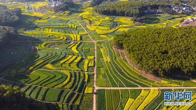 1310475124_16451880846311n