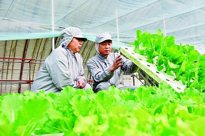 在高质量发展中促进共同富裕 在高质量发展中促进共同富裕