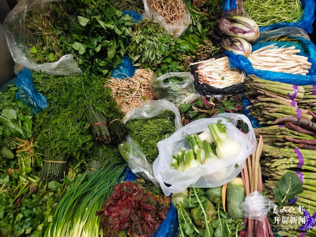 春菜(开屏新闻记者 朱婉琪 孙江荭 摄)