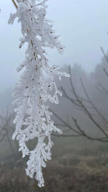 建水云龙山雾凇（卢维前 释华祥 摄 ）