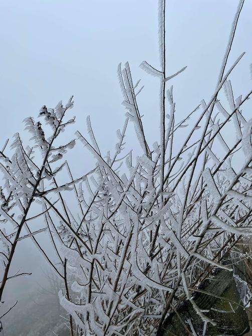 建水云龙山雾凇（卢维前 释华祥 摄 ）
