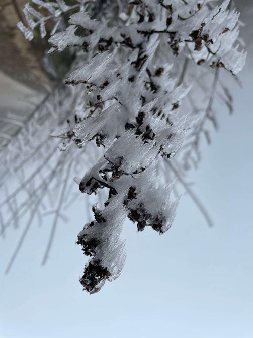 建水云龙山雾凇（卢维前 释华祥 摄 ）