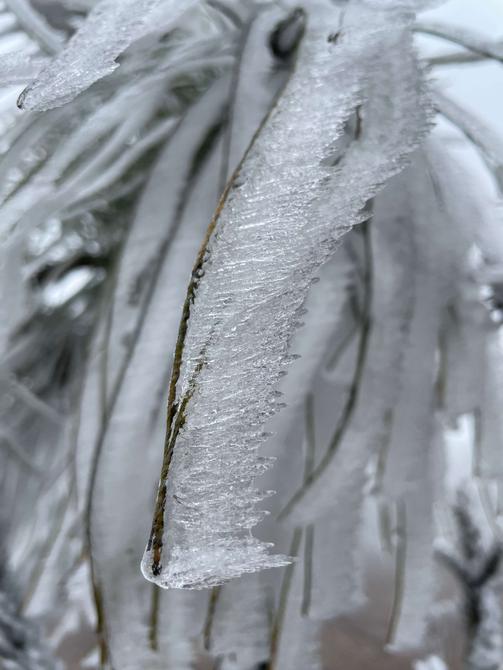 建水云龙山雾凇（卢维前 释华祥 摄 ）