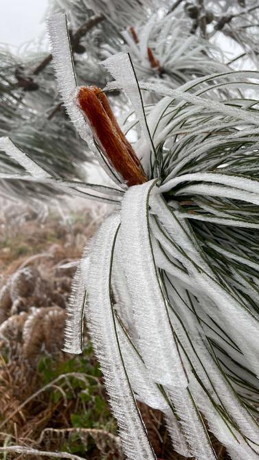 建水云龙山雾凇（卢维前 释华祥 摄 ）